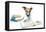 Dog and Books-Javier Brosch-Framed Premier Image Canvas