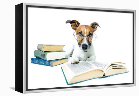 Dog and Books-Javier Brosch-Framed Premier Image Canvas