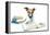 Dog and Books-Javier Brosch-Framed Premier Image Canvas