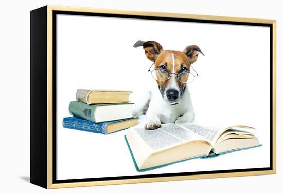 Dog and Books-Javier Brosch-Framed Premier Image Canvas