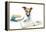 Dog and Books-Javier Brosch-Framed Premier Image Canvas