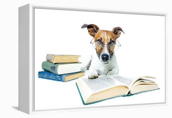 Dog and Books-Javier Brosch-Framed Premier Image Canvas