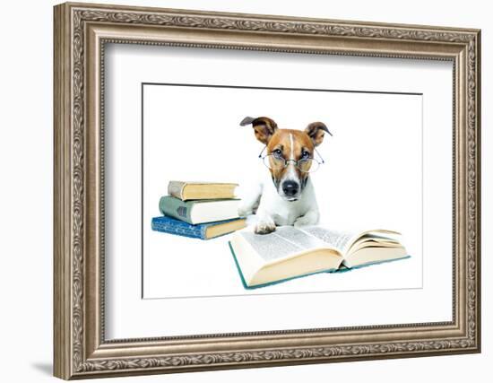 Dog and Books-Javier Brosch-Framed Photographic Print