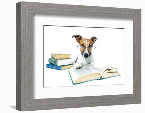 Dog and Books-Javier Brosch-Framed Photographic Print