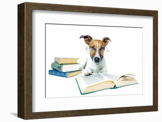Dog and Books-Javier Brosch-Framed Photographic Print