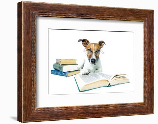 Dog and Books-Javier Brosch-Framed Photographic Print