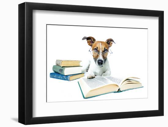 Dog and Books-Javier Brosch-Framed Photographic Print