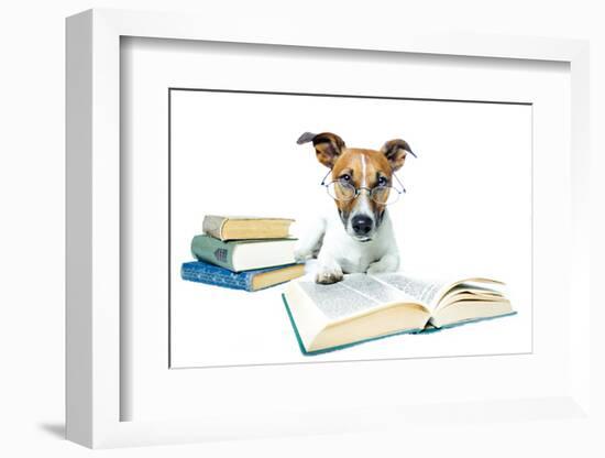 Dog and Books-Javier Brosch-Framed Photographic Print