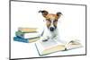 Dog and Books-Javier Brosch-Mounted Photographic Print