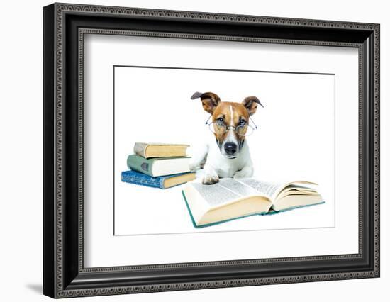 Dog and Books-Javier Brosch-Framed Photographic Print