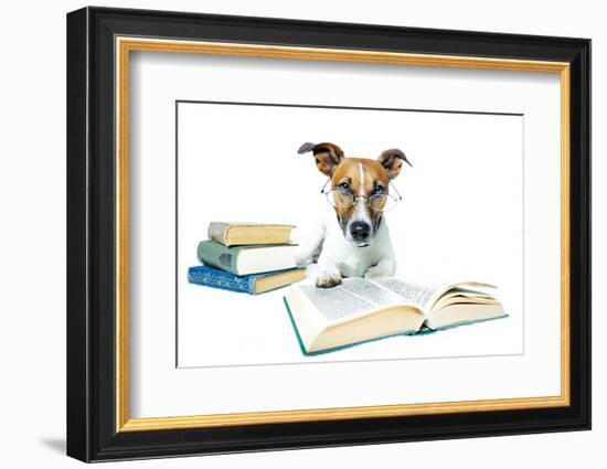 Dog and Books-Javier Brosch-Framed Photographic Print