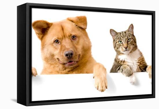 Dog and Cat above White Banner-websubstance-Framed Premier Image Canvas