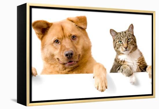 Dog and Cat above White Banner-websubstance-Framed Premier Image Canvas
