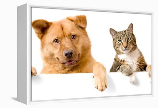 Dog and Cat above White Banner-websubstance-Framed Premier Image Canvas