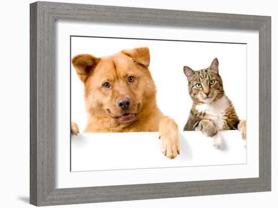 Dog and Cat above White Banner-websubstance-Framed Photographic Print