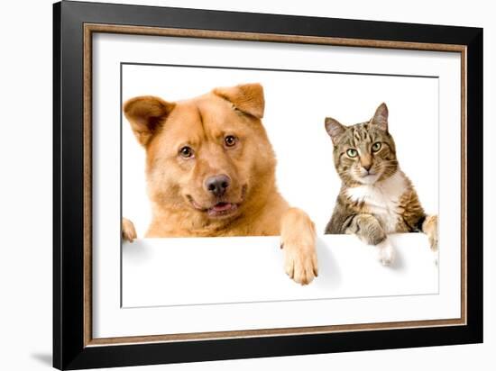 Dog and Cat above White Banner-websubstance-Framed Photographic Print