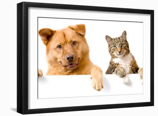 Dog and Cat above White Banner-websubstance-Framed Photographic Print