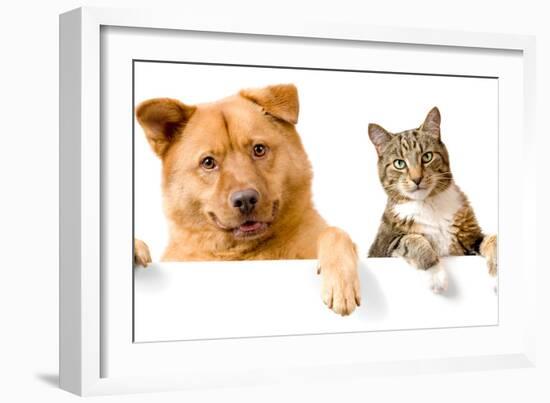 Dog and Cat above White Banner-websubstance-Framed Photographic Print