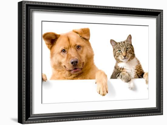 Dog and Cat above White Banner-websubstance-Framed Photographic Print