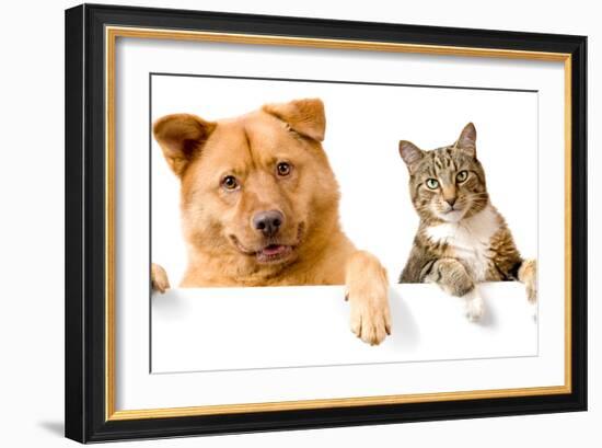 Dog and Cat above White Banner-websubstance-Framed Photographic Print