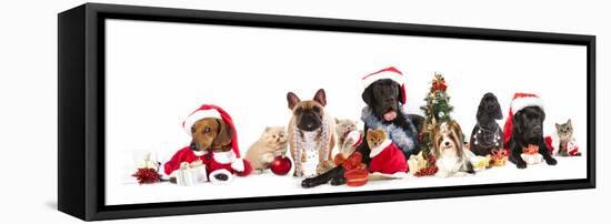 Dog and  Cat and Kitens  Wearing a Santa Hat-Lilun-Framed Premier Image Canvas