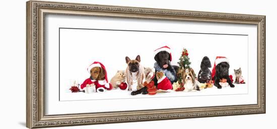 Dog and  Cat and Kitens  Wearing a Santa Hat-Lilun-Framed Photographic Print