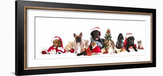 Dog and  Cat and Kitens  Wearing a Santa Hat-Lilun-Framed Photographic Print