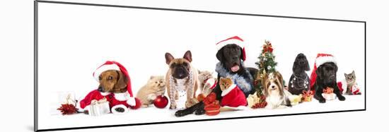 Dog and  Cat and Kitens  Wearing a Santa Hat-Lilun-Mounted Photographic Print