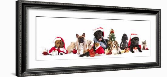 Dog and  Cat and Kitens  Wearing a Santa Hat-Lilun-Framed Photographic Print