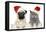 Dog And Cat In Red Christmas Hat-Jagodka-Framed Premier Image Canvas