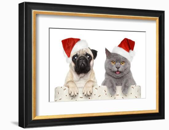 Dog And Cat In Red Christmas Hat-Jagodka-Framed Photographic Print