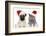 Dog And Cat In Red Christmas Hat-Jagodka-Framed Photographic Print