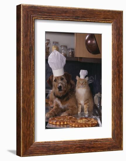 Dog and Cat Making Pizza-DLILLC-Framed Photographic Print