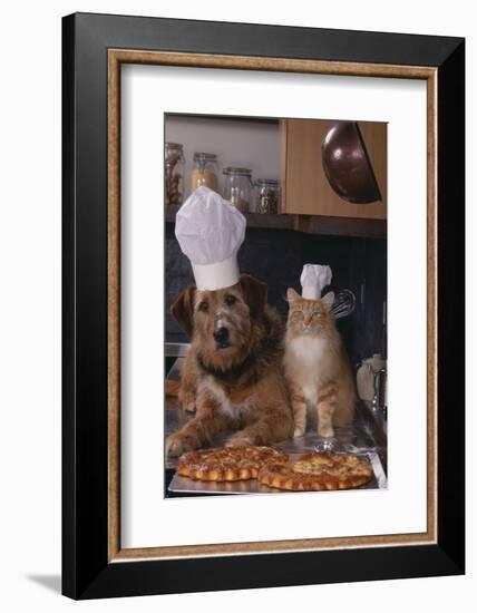 Dog and Cat Making Pizza-DLILLC-Framed Photographic Print