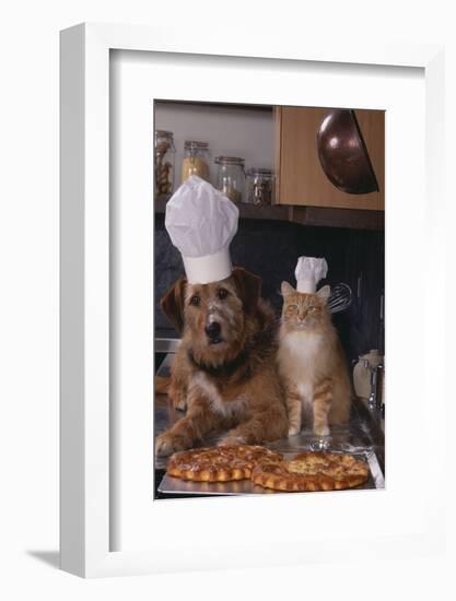 Dog and Cat Making Pizza-DLILLC-Framed Photographic Print