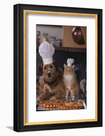 Dog and Cat Making Pizza-DLILLC-Framed Photographic Print