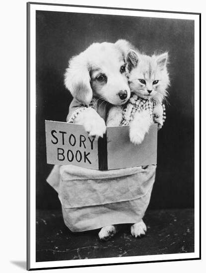 Dog and Cat Reading-null-Mounted Photographic Print
