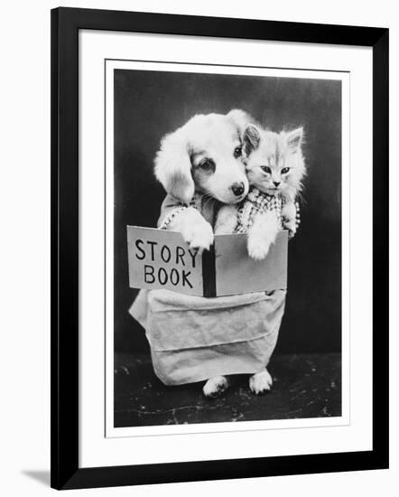 Photographic Print, , large