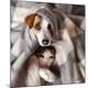 Premium Photographic Print