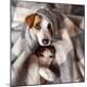Premium Photographic Print