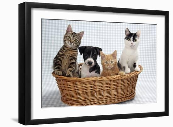 Photographic Print, , large