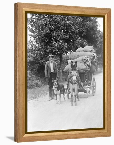 Dog and Donkey Team-null-Framed Premier Image Canvas