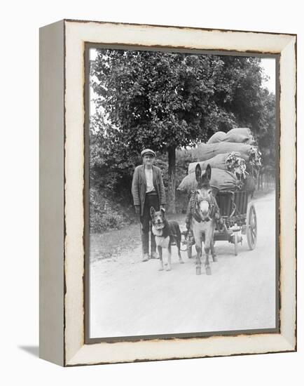 Dog and Donkey Team-null-Framed Premier Image Canvas