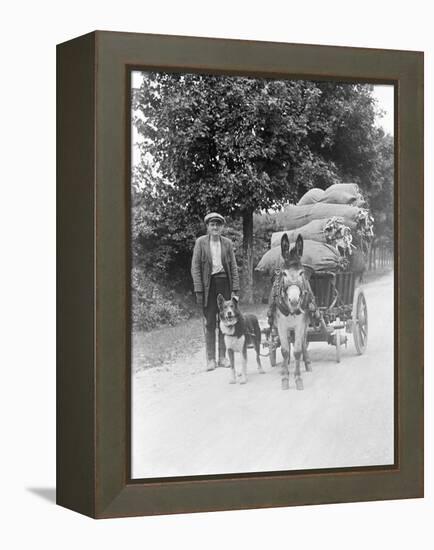 Dog and Donkey Team-null-Framed Premier Image Canvas