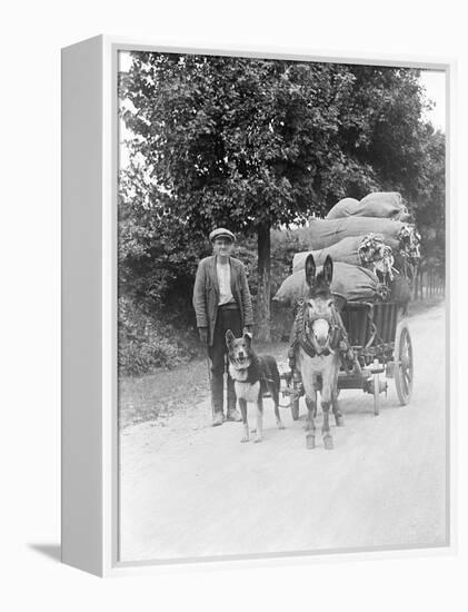 Dog and Donkey Team-null-Framed Premier Image Canvas