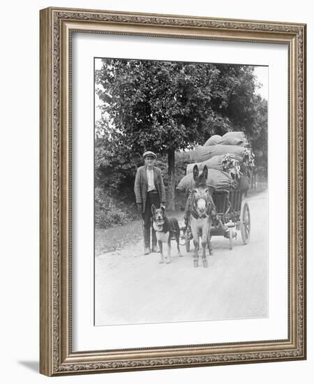 Dog and Donkey Team-null-Framed Photographic Print