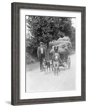 Dog and Donkey Team-null-Framed Photographic Print