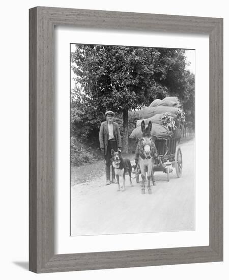 Dog and Donkey Team-null-Framed Photographic Print