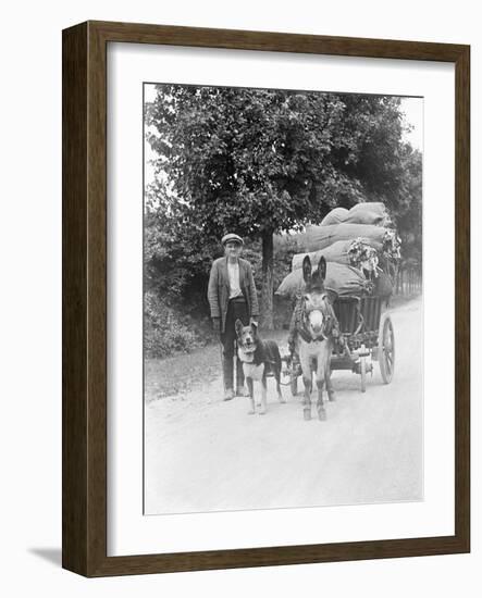 Dog and Donkey Team-null-Framed Photographic Print