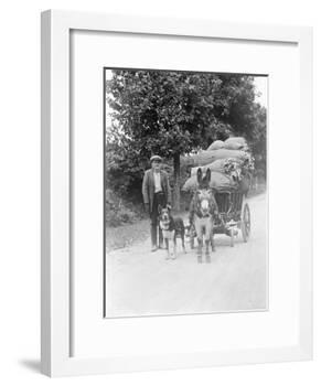 Dog and Donkey Team-null-Framed Photographic Print